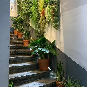 Serendipity Naples